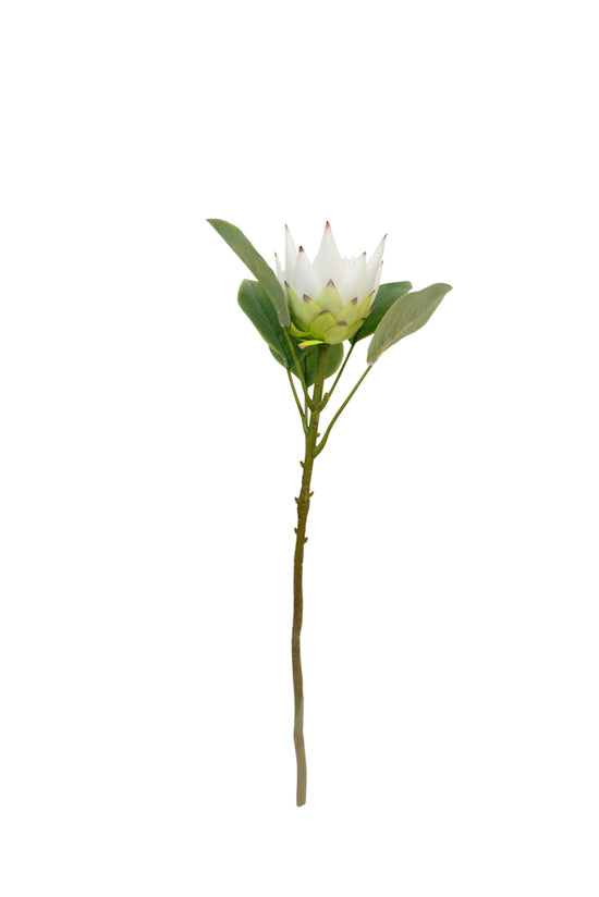 An Artificial Flora King Small Protea White flower on a stem against a white background.