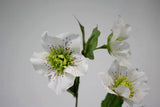 Two white Artificial Flora Hellebore Spray flowers in a vase against a white background.