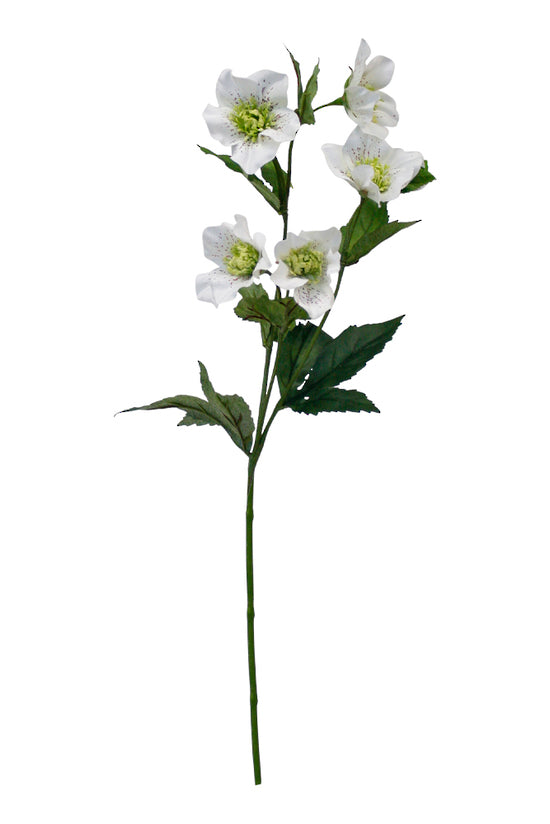 A white Artificial Flora Hellebore Spray on a stem against a white background.