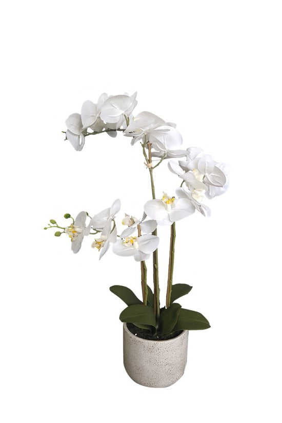 Artificial Flora's Cement Pot Real Touch Phalaenopsis 66cm in a ceramic pot.