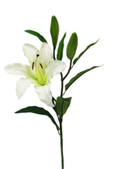 A Rubrum Lily White on a stem against a white background, adding a touch of greenery to the space with an Artificial Flora plant.