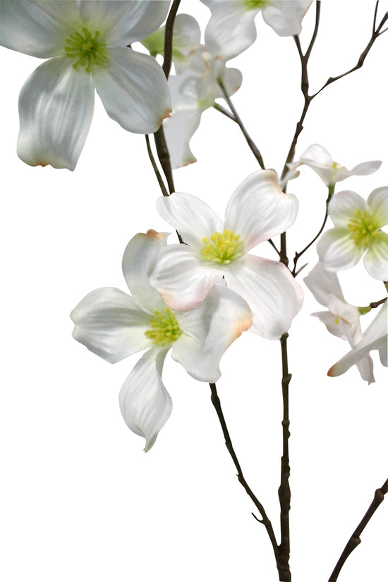 Artificial Flora's Artificial Dogwood Blossom Spray, with white dogwood flowers on a branch against a white background, adding a touch of floral elegance to any space.