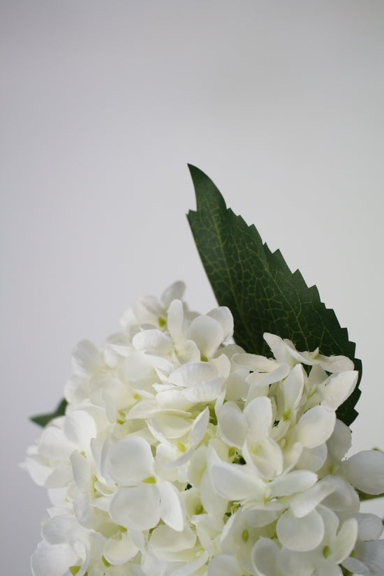 Hydrangea Short Stem 45cm White flowers in a vase on a background. (Brand Name: Artificial Flora)
