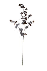 Large Eucalyptus Spray Brown 86cm from Artificial Flora with leaves on a white background.