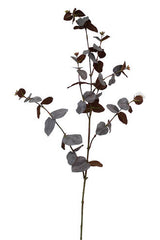 Large Eucalyptus Spray Brown 86cm by Artificial Flora leaves on a stem against a white background.