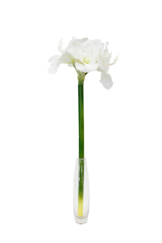 A white flower in a clear vase on a white background, showcasing the elegance of an Artificial Flora Amaryllis Stem White.