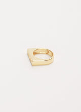 Stay Gold Ring | 14k Gold Plated