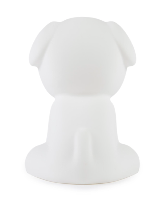 A white dog named Snuffy sitting on a white surface illuminated by the Mr Maria Snuffy First Light Lamp.