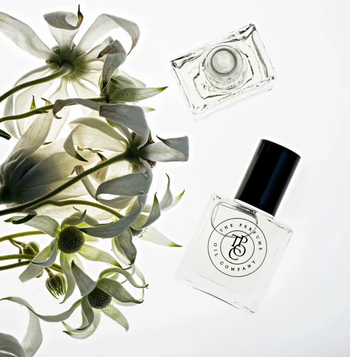 Perfume oil bottles laid among white flowers from above