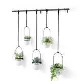 Five Umbra TRIFLORA HANGING PLANTER - Large Set of 5 | White + Black on a white wall using a drapery rod.