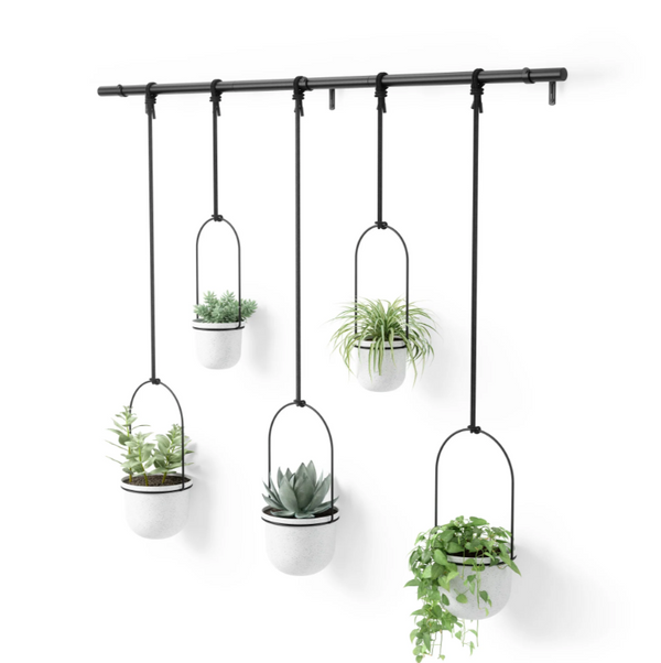 Five Umbra TRIFLORA HANGING PLANTER - Large Set of 5 | White + Black on a white wall using a drapery rod.