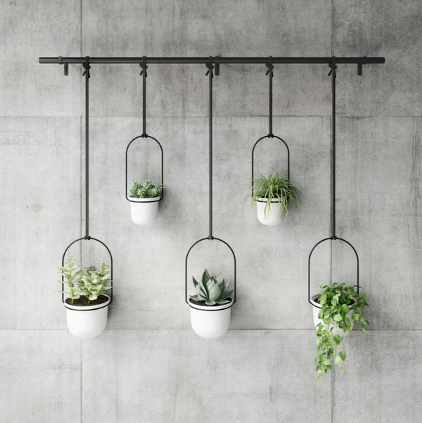 Five TRIFLORA HANGING PLANTER - Large Set of 5 | White + Black plants by Umbra on a concrete wall.
