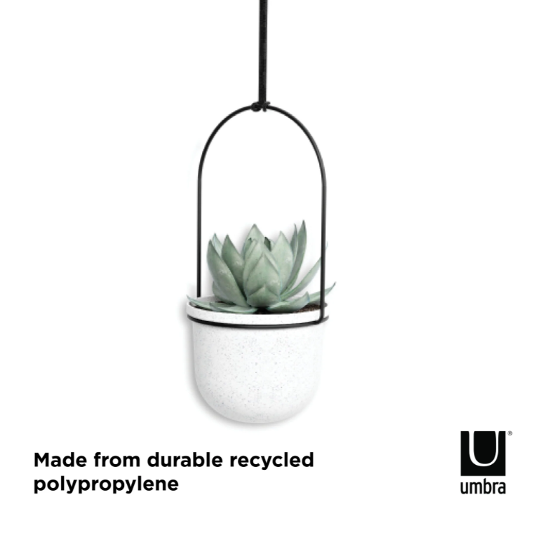 Single Umbra Triflora hanging planter with a succulent, recycled polypropylene pot