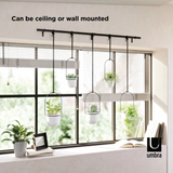 A window adorned with TRIFLORA HANGING PLANTER - Large Set of 5 | White + Black plants hanging from an Umbra drapery rod.