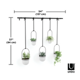 A collection of TRIFLORA HANGING PLANTERS - Large Set of 5 in White + Black by Umbra, displayed on drapery rods.