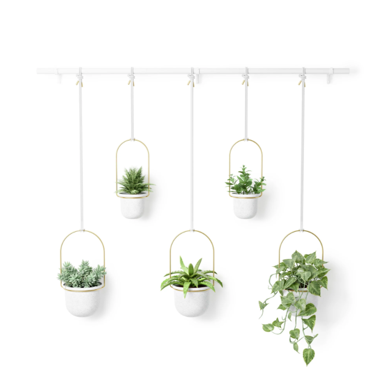 Umbra Triflora hanging planter, five pots staggered at different heights