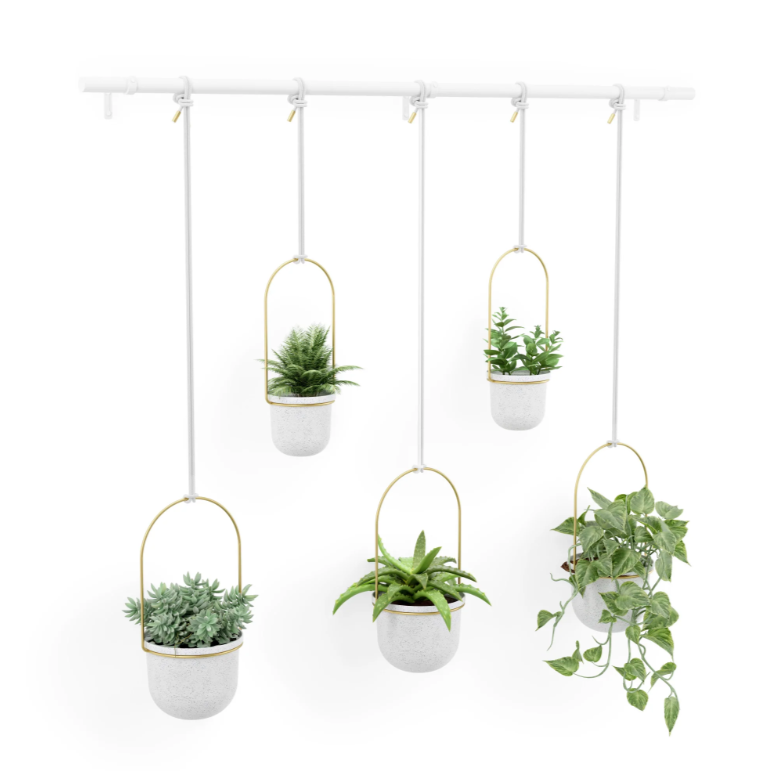 Umbra Triflora hanging planter with succulents and trailing plants in five pots