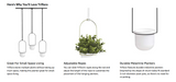 Explore a range of Umbra TRIFLORA HANGING PLANTERS - White / Brass perfect for both indoor plants and window displays.