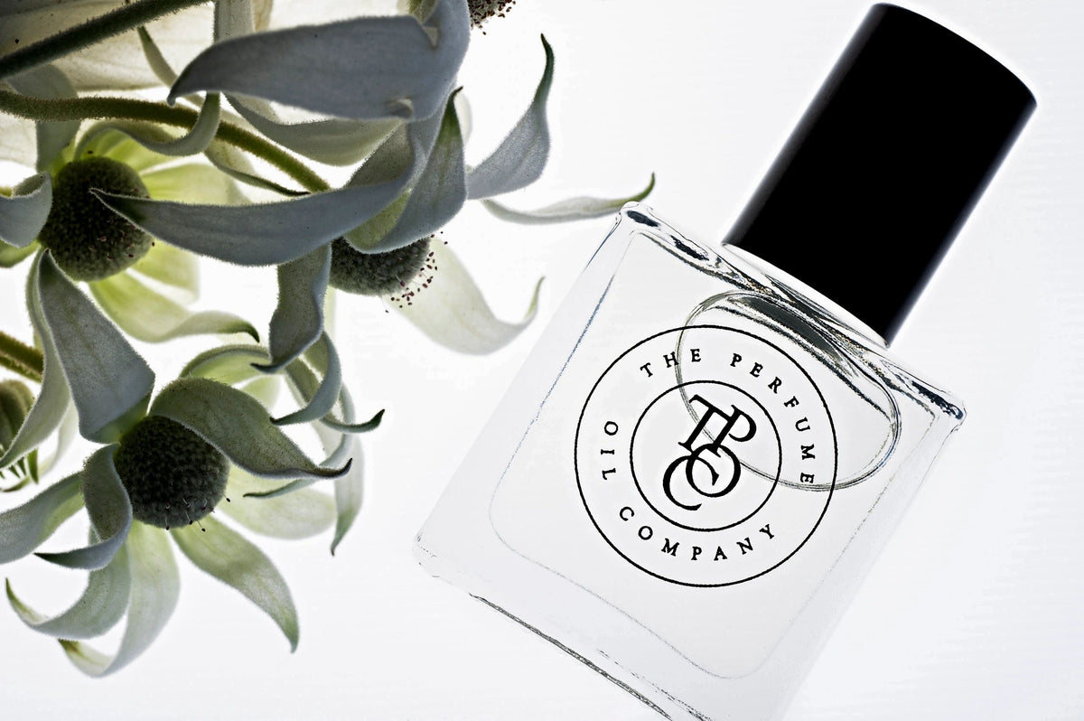 Close view of a perfume oil bottle among grey-green foliage and white flowers