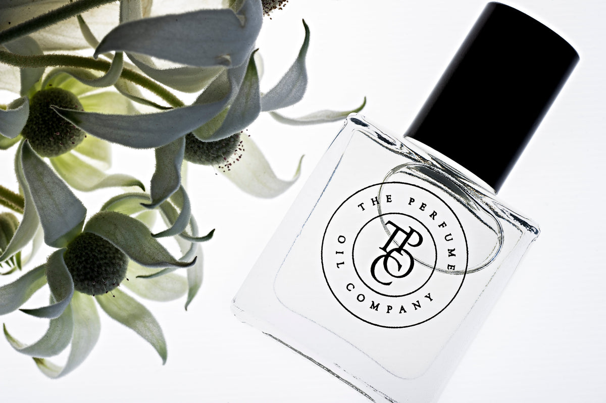 Close-up of a perfume oil bottle with white flowers and grey-green leaves