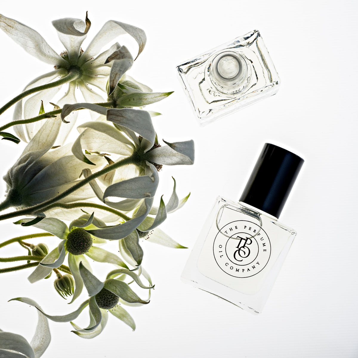 A collection of JETT perfume oils, inspired by Black Orchid (Tom Ford), next to a bunch of white flowers.