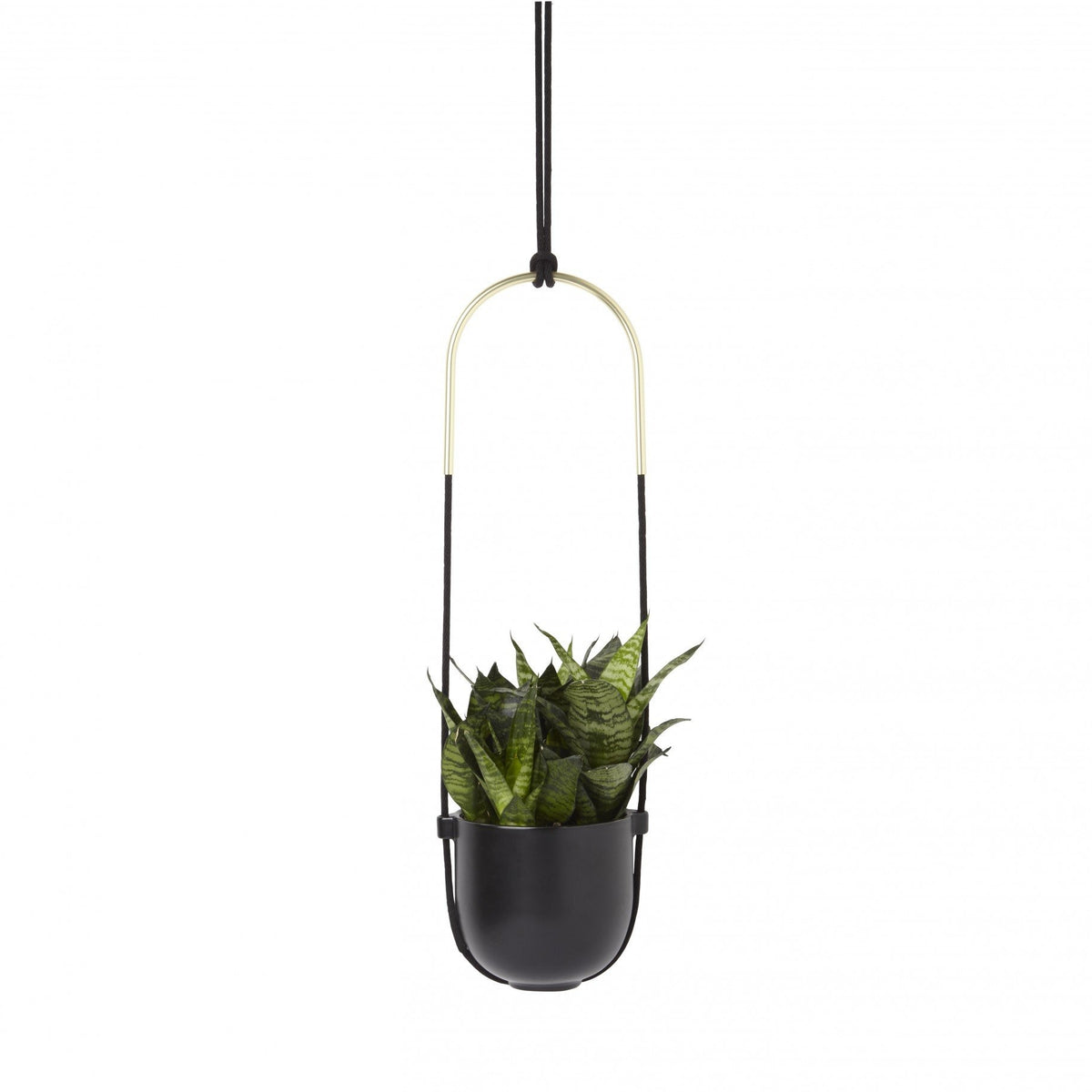 Umbra Bolo hanging planter in matte black with brass detail, suspended by rope