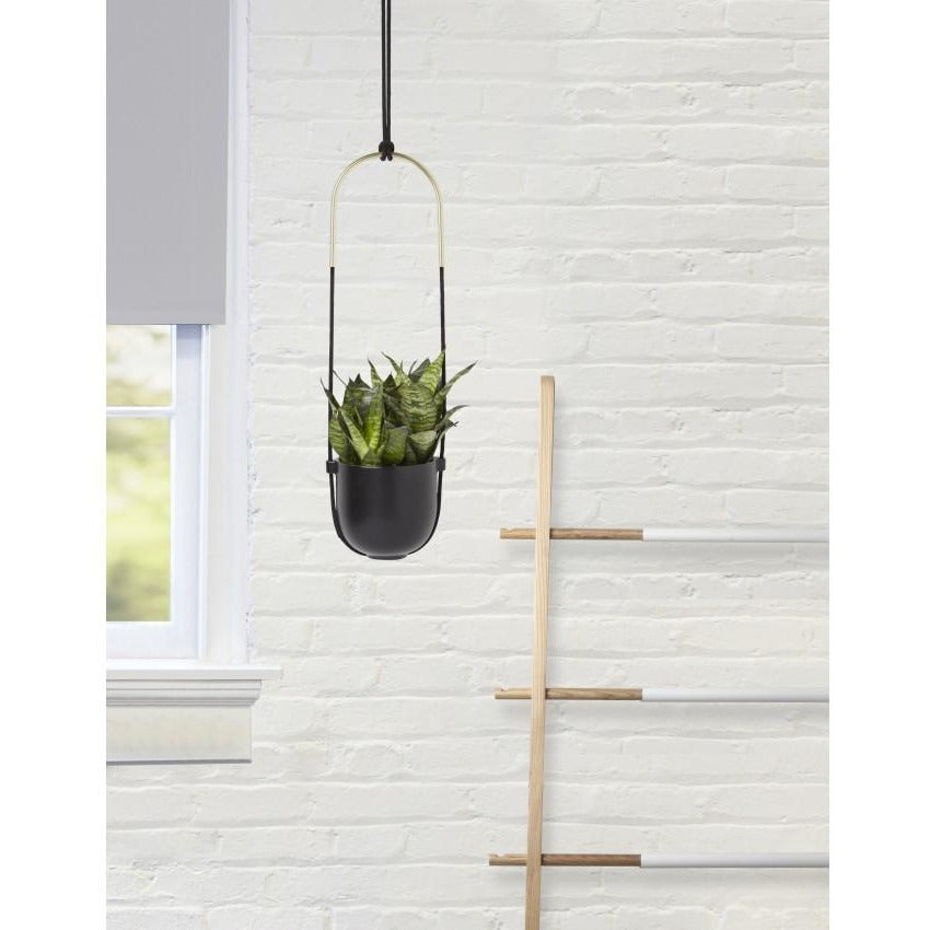 Side view of the Umbra Bolo hanging planter showing the brass accent and rounded black bowl