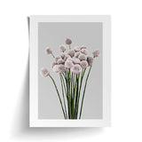 A PAPIER HQ | ALLIUM PRINT by Art Prints of flowers in a vase available for delivery.