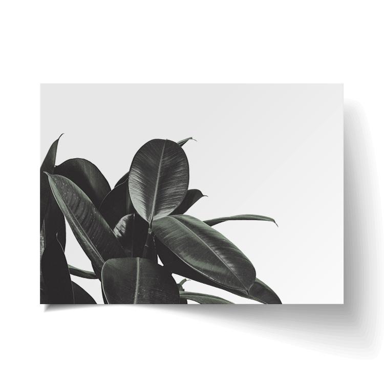 Branch Out print unframed, with a lifted corner