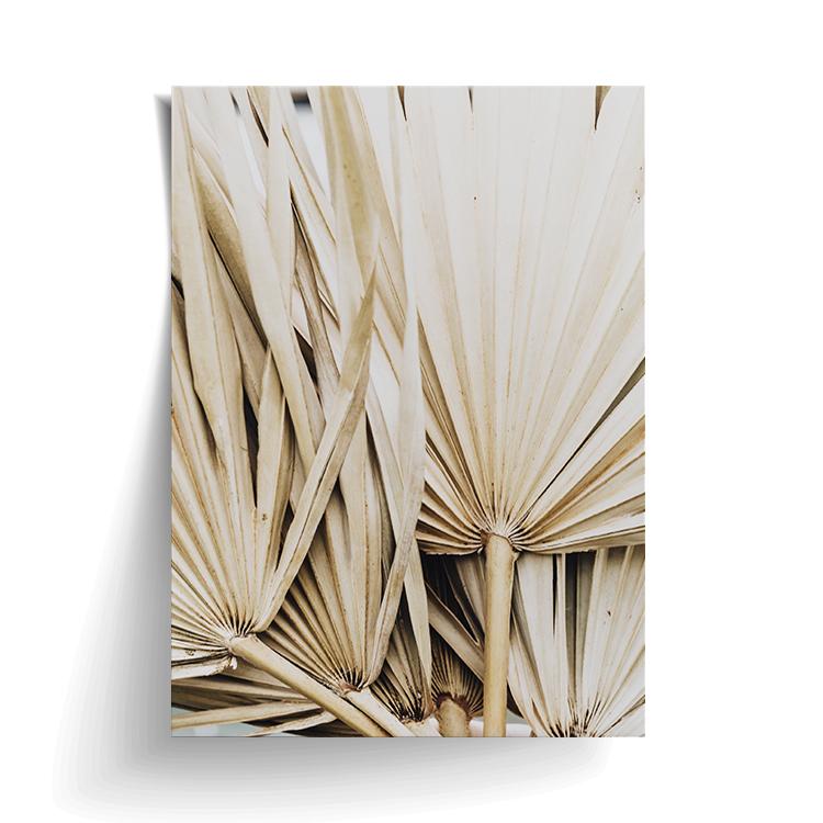Dried Palm Leaves print unframed on matte card