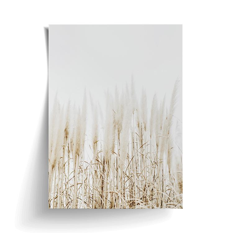 Pampas print unframed, with a lifted corner