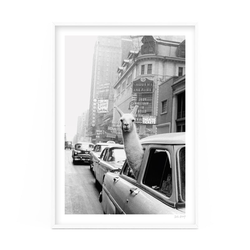 A black and white photo of a New York Taxi in the back of a car, perfect for printing and framing.