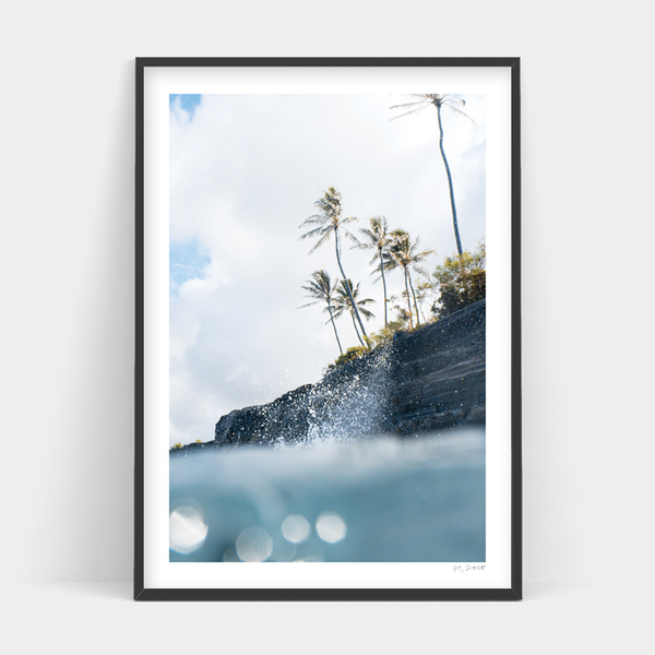 A black and white photo of palm trees in the ocean, available as a BEACH SWELL print from Art Prints.