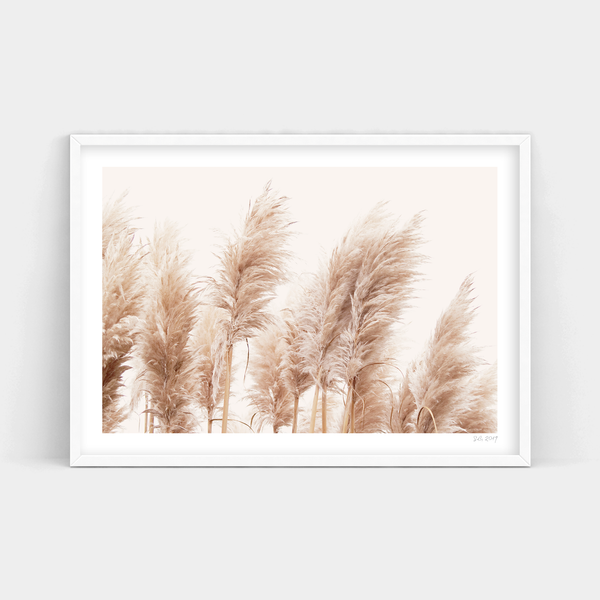 A photo of reeds in a white frame, perfect for delivering Toi Toi Art Prints.