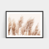 An Art Prints framed print of Toi Toi reeds in a beige frame available for delivery.