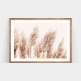 A Toi Toi print of reeds in an Art Prints wooden frame.