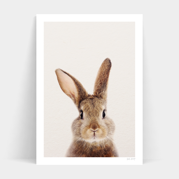 A portrait of Peter Rabbit Front on a white background available for Art Prints and frames.