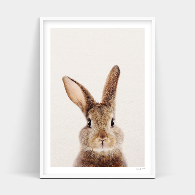 A portrait of Peter Rabbit in an Art Prints frame available for delivery.