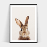 An image of the Peter Rabbit Front in an Art Prints black frame, ready for delivery.