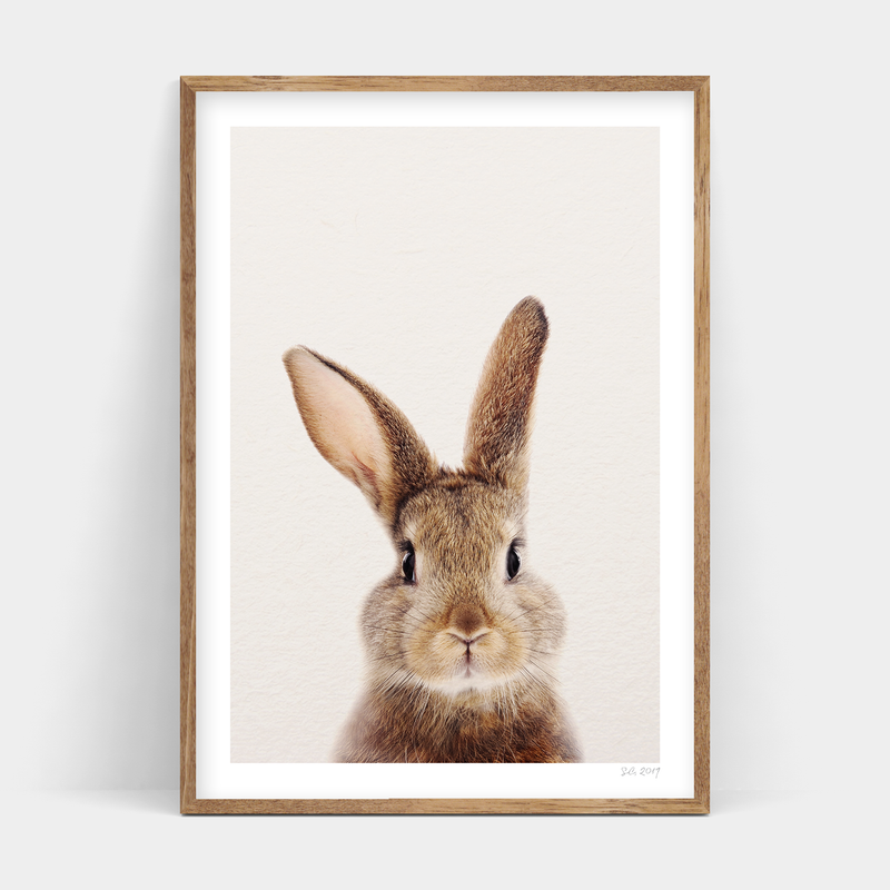 A Peter Rabbit Front framed print, available for delivery.