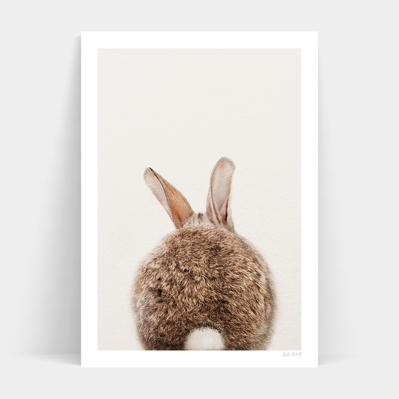 An Art Prints Peter Rabbit Back with a fluffy tail on a white background.
