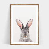 A grey Roger Rabbit Front in an Art Prints wooden frame for delivery.