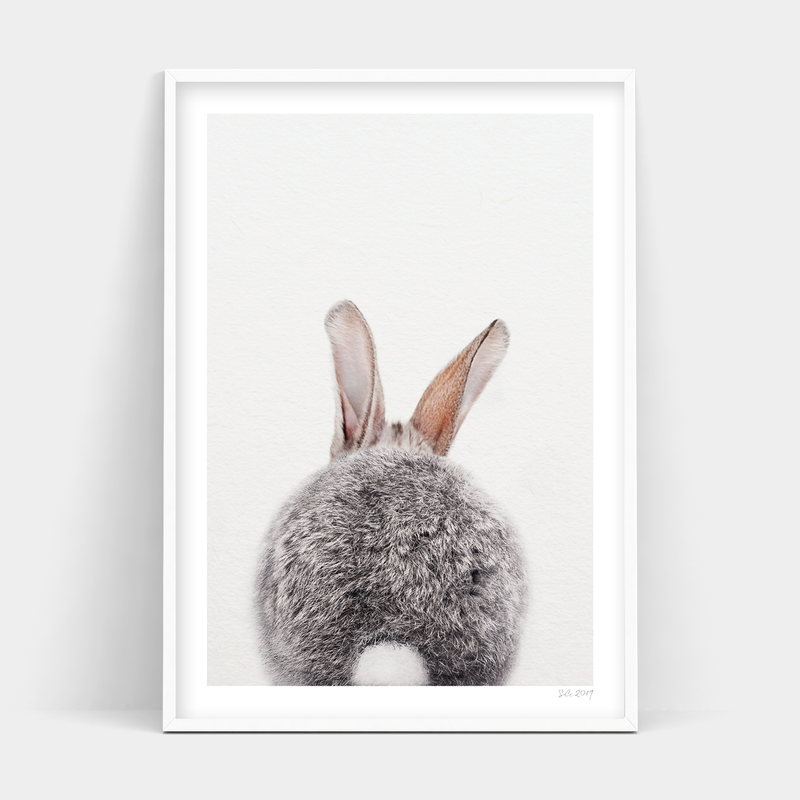A Roger Rabbit Back, framed in white, with Art Prints available.