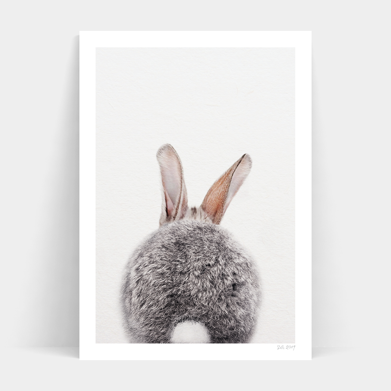 The Art Prints Roger Rabbit Back, perfect for designing prints or frames on a grey rabbit on a white background.