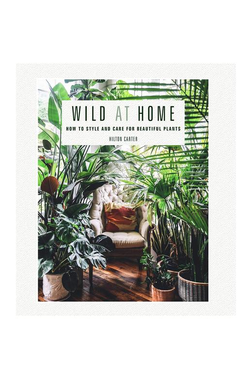 Discover the health benefits of incorporating WILD AT HOME plants into your urban jungle styled home.