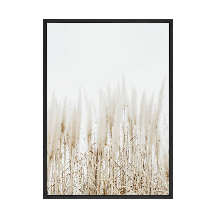 Pampas print in a black frame