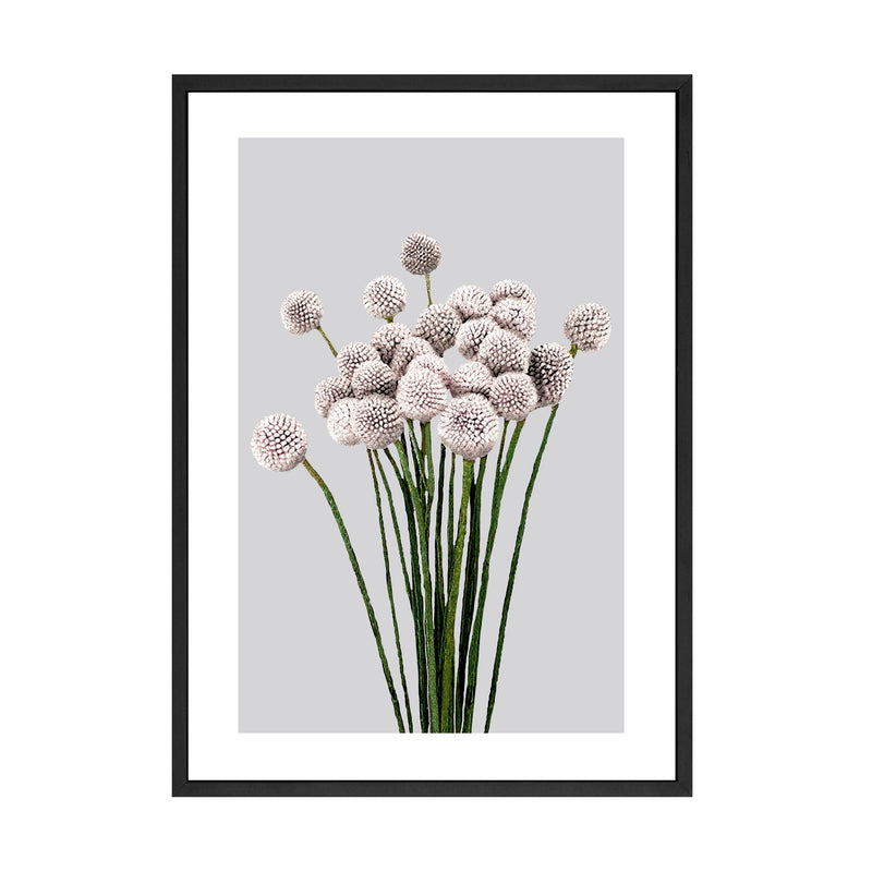 An Art Prints framed print of PAPIER HQ | ALLIUM PRINT, featuring white flowers on a gray background, is available for delivery.