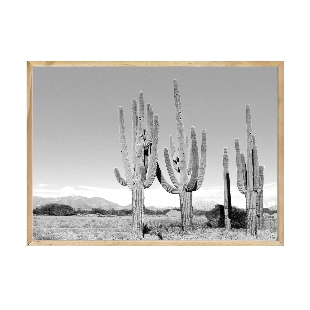 Cactus print in a natural timber frame