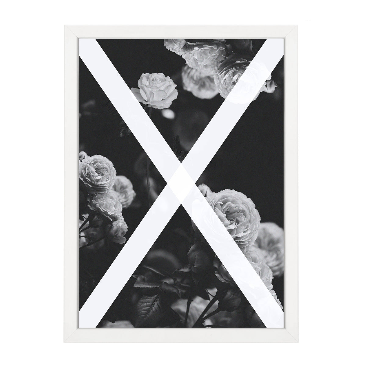 Alchemy print, black and white roses crossed by a white X, in a white frame on white