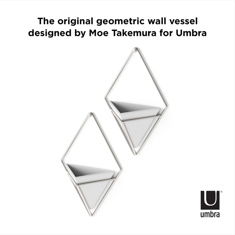 The original Trigg Wall Vessel designed by mo takamura for Umbra, featuring modern design and perfect for displaying indoor plants with the Umbra Trigg Wall Display.